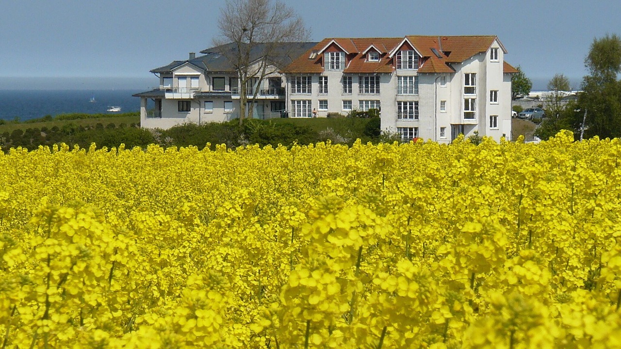 Photo of Outdoor in Stein