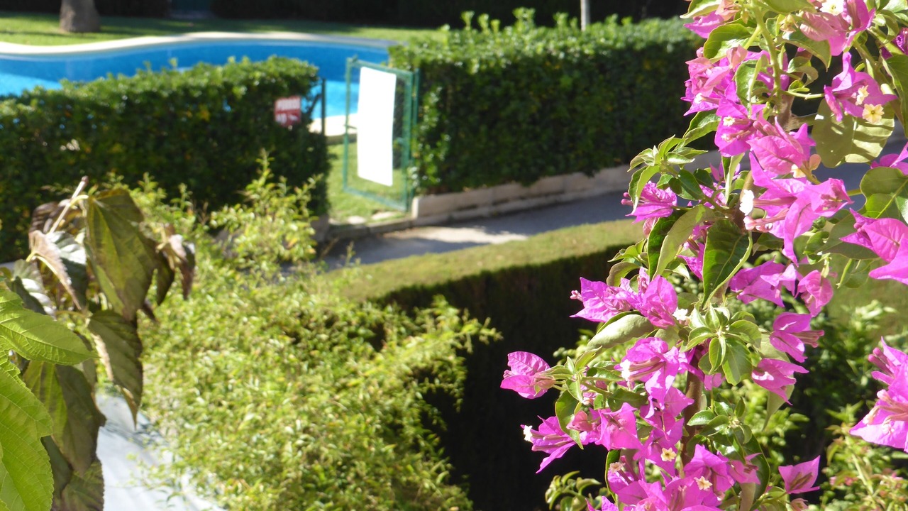 Photo of Outdoor in Molinell