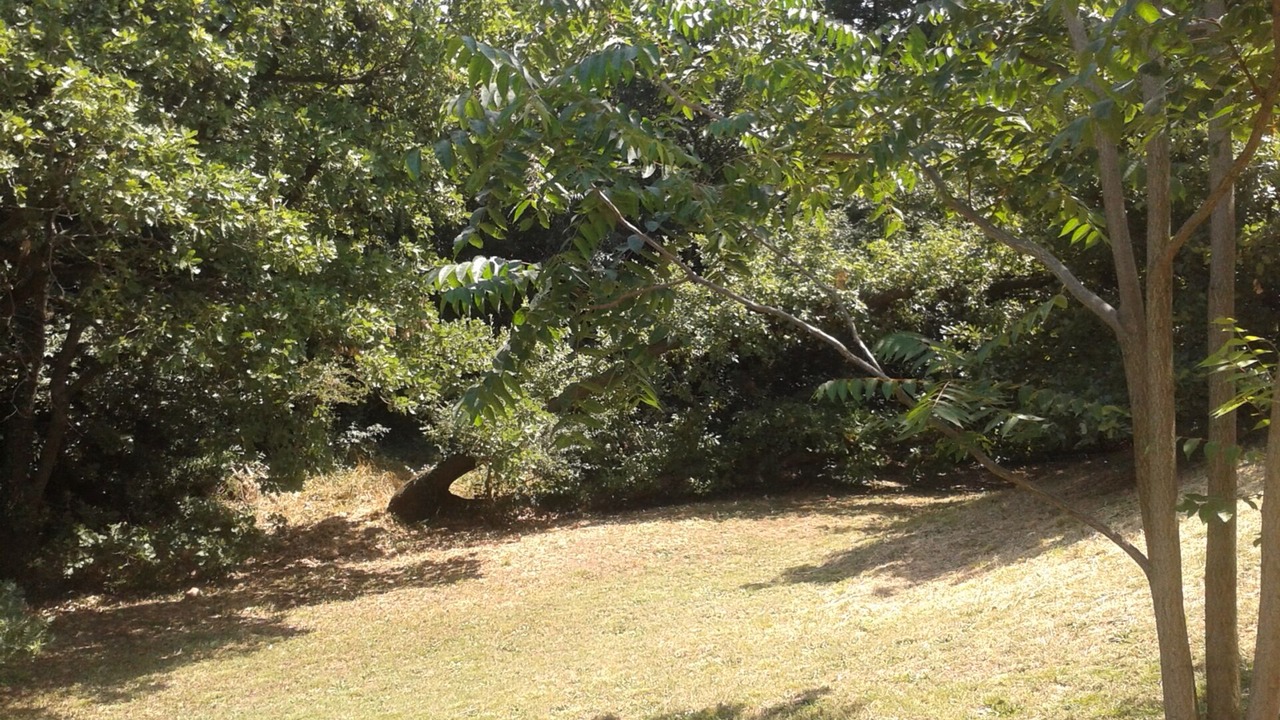 Photo of Outdoor in Bellegarde