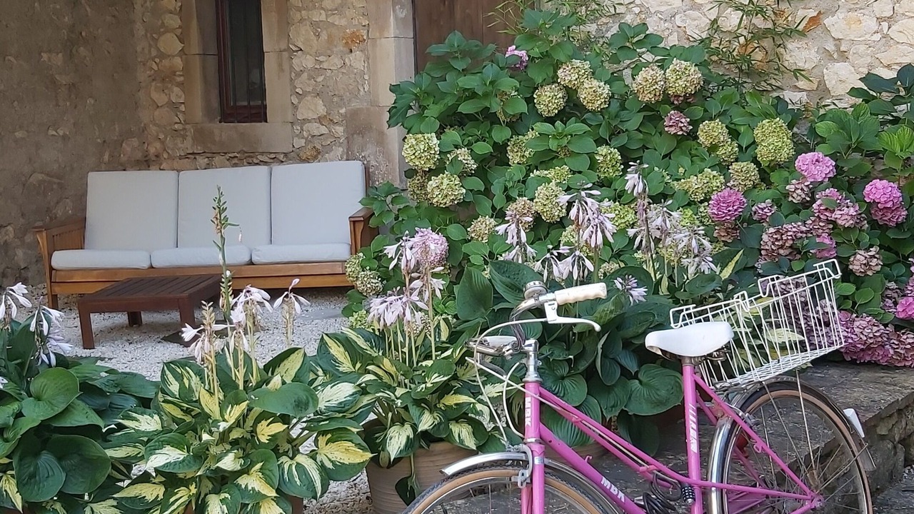 Photo of Outdoor in Rochegude
