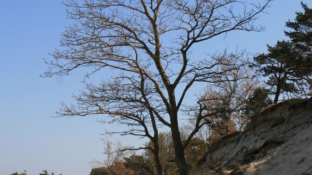 Photo of Others in Zempin