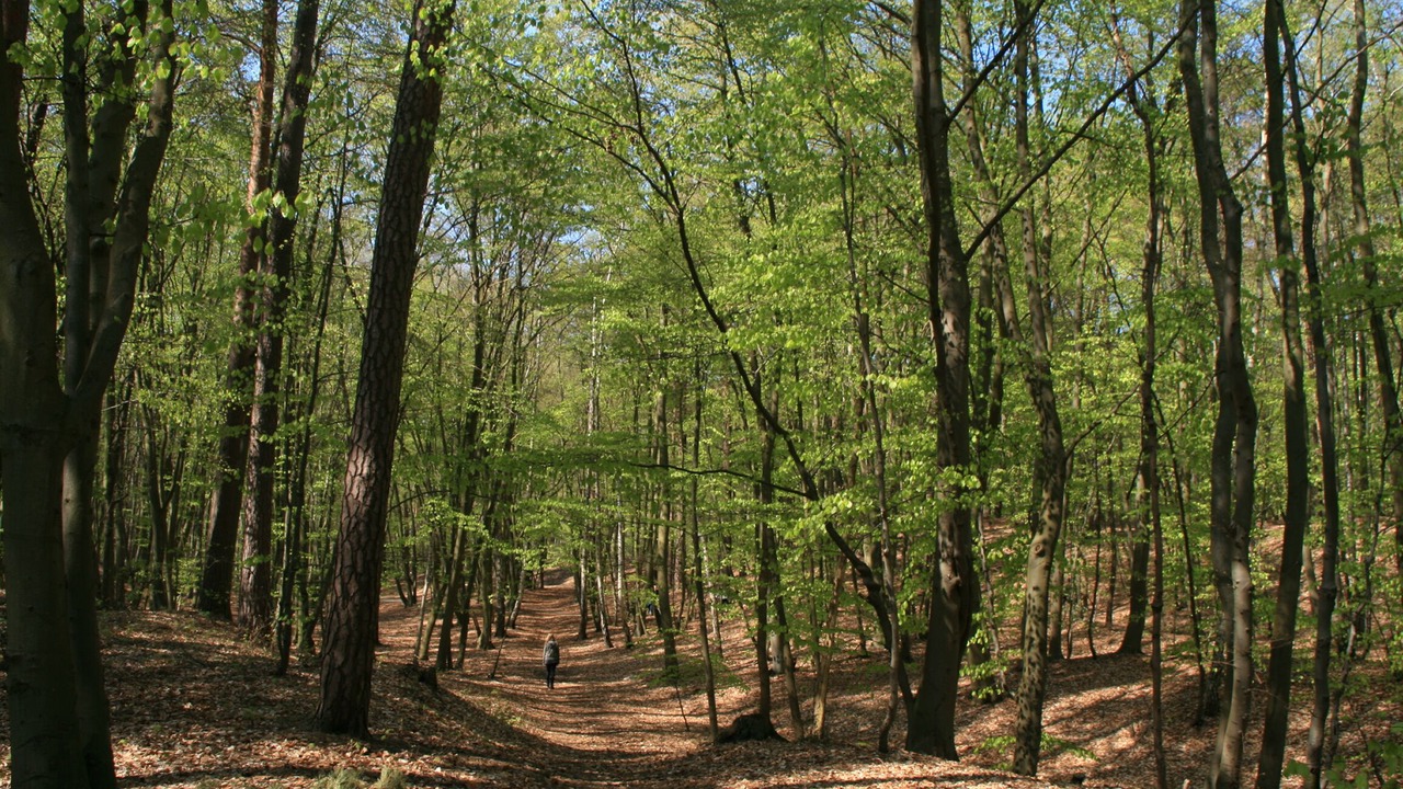 Photo of Outdoor in Zempin