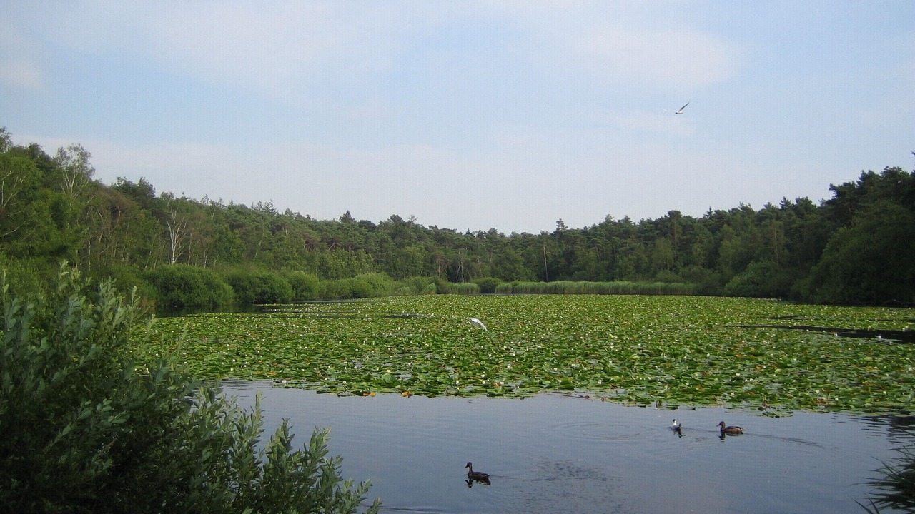 Photo of Others in Sahlenburg