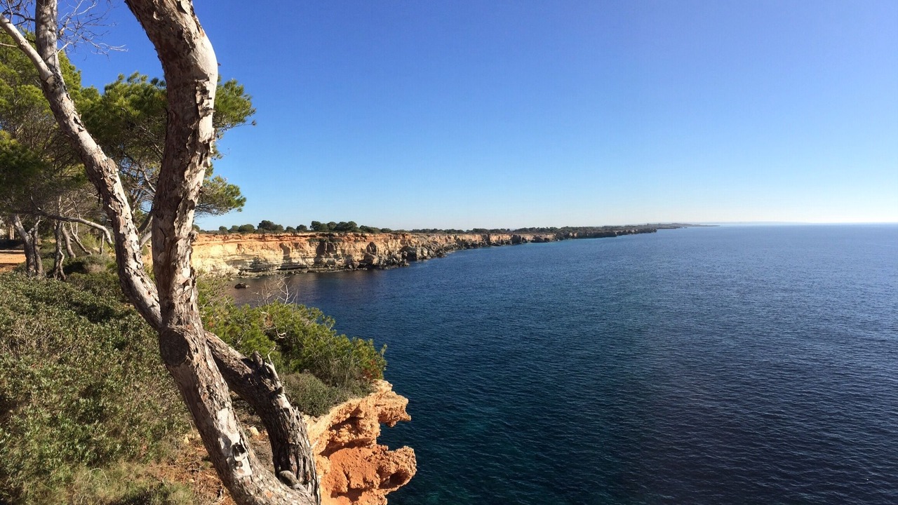 Photo of Others in Cala Pi
