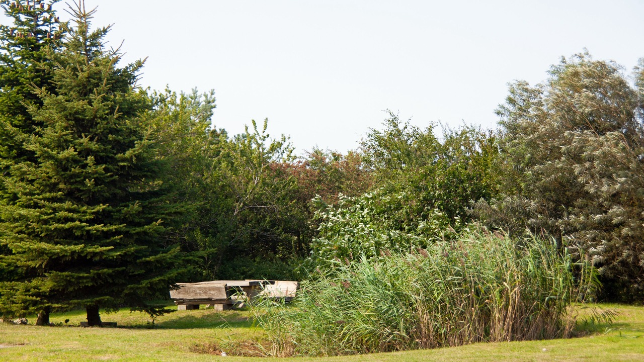 Photo of Outdoor in Sagard