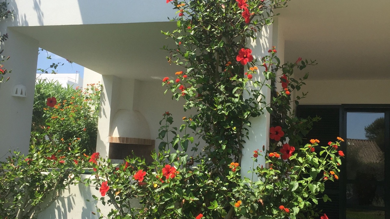 Photo of Outdoor in Son Xoriguer