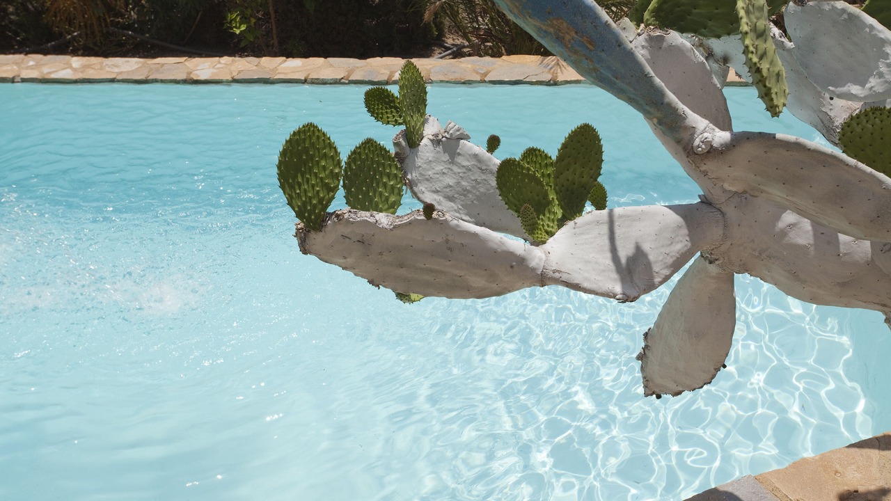 Photo of Outdoor in La Parata
