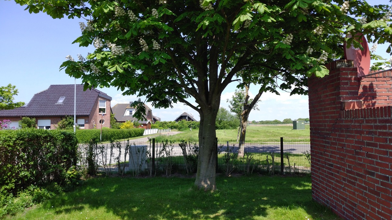 Photo of Outdoor in Friedrichskoog-Spitze