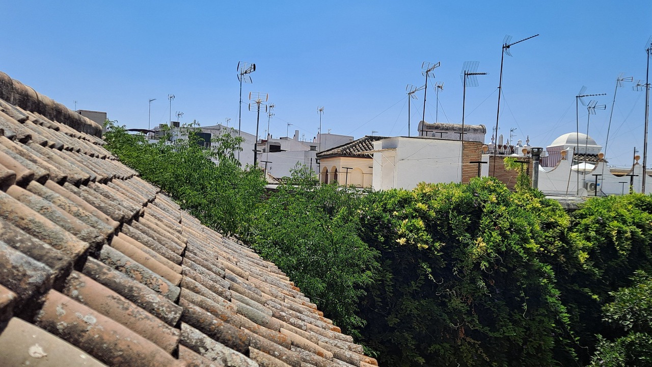 Photo of Outdoor in San Bartolome