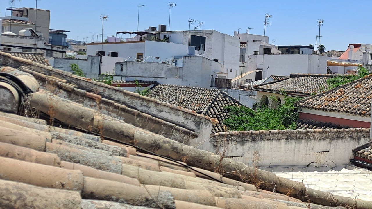 Photo of Outdoor in San Bartolome