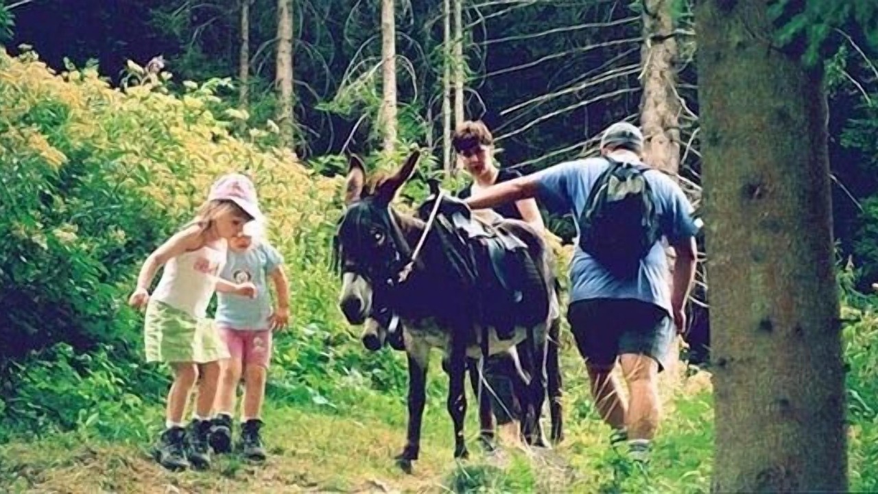 Photo of Others in Les Houches