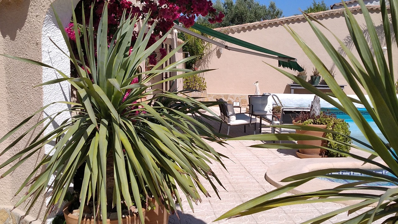 Photo of Outdoor in Benidoleig