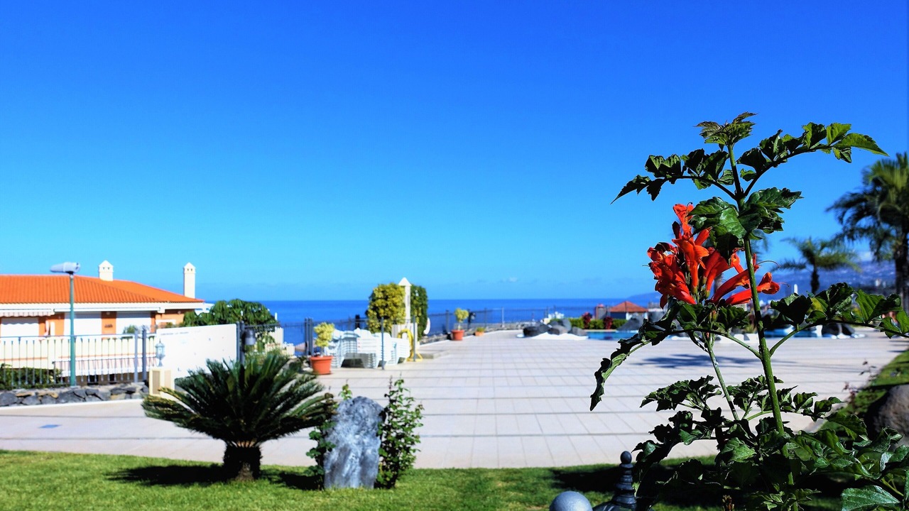 Photo of Outdoor in Puerto de la Cruz
