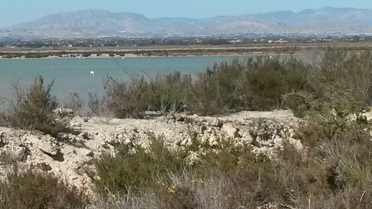 Photo of Others in Formentera de Segura
