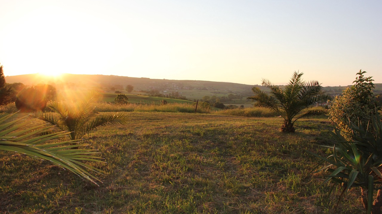 Photo of Outdoor in Viveda