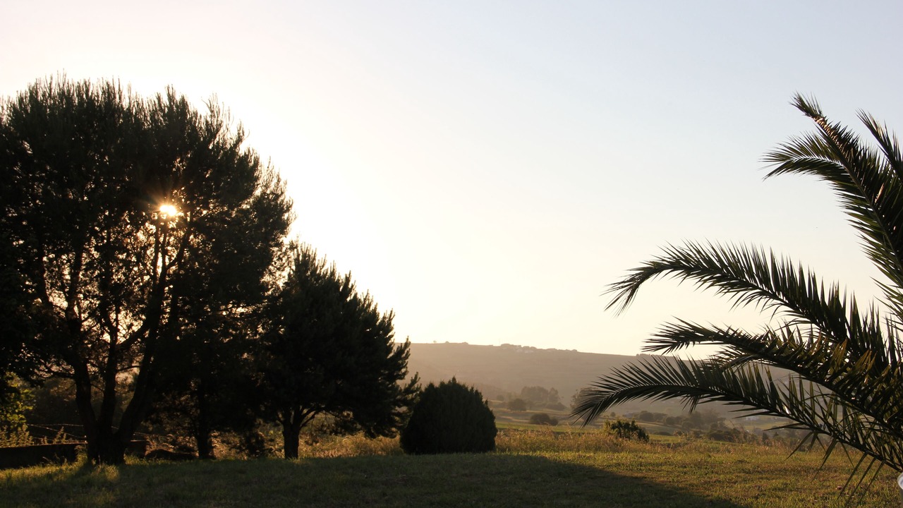 Photo of Outdoor in Viveda