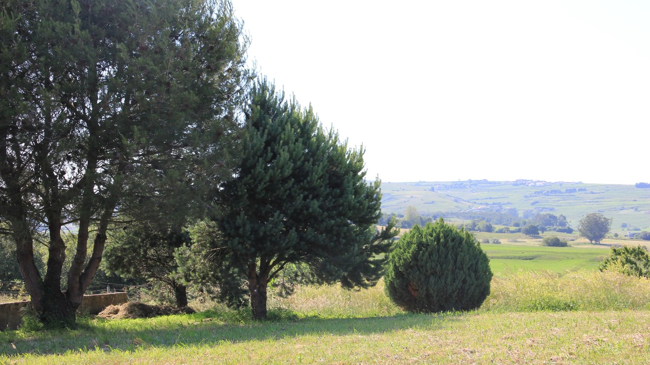 Photo of Outdoor in Viveda