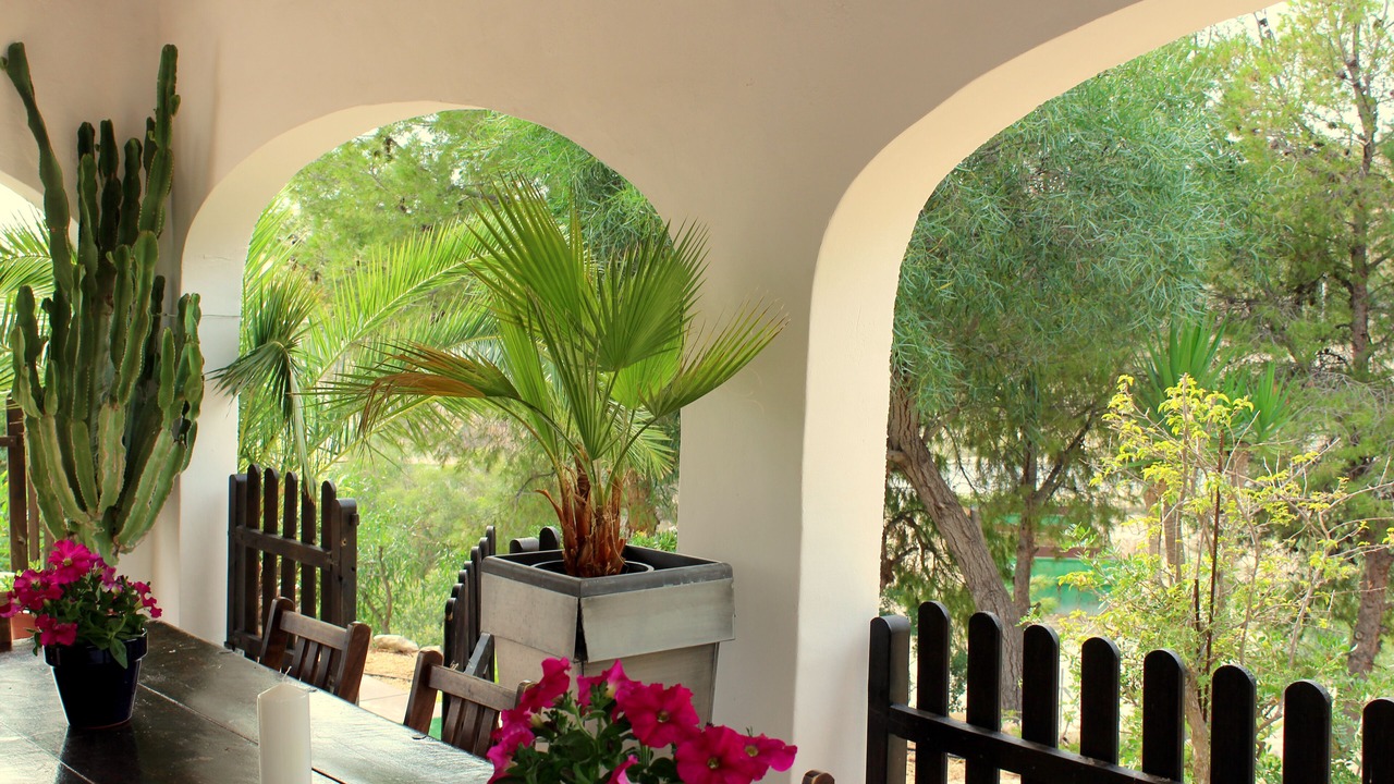 Photo of Outdoor in Coveta Fuma