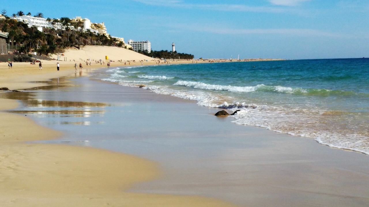 Photo of Others in Bahia Calma