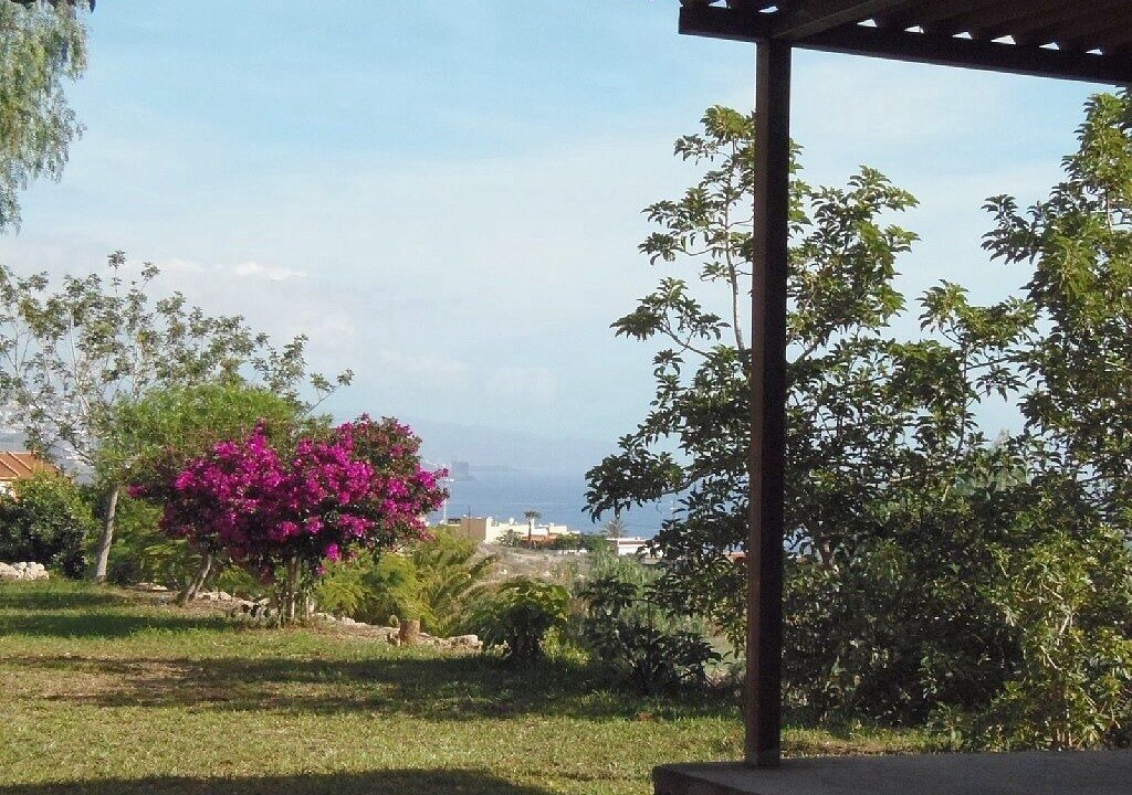 Photo of Outdoor in Candelaria