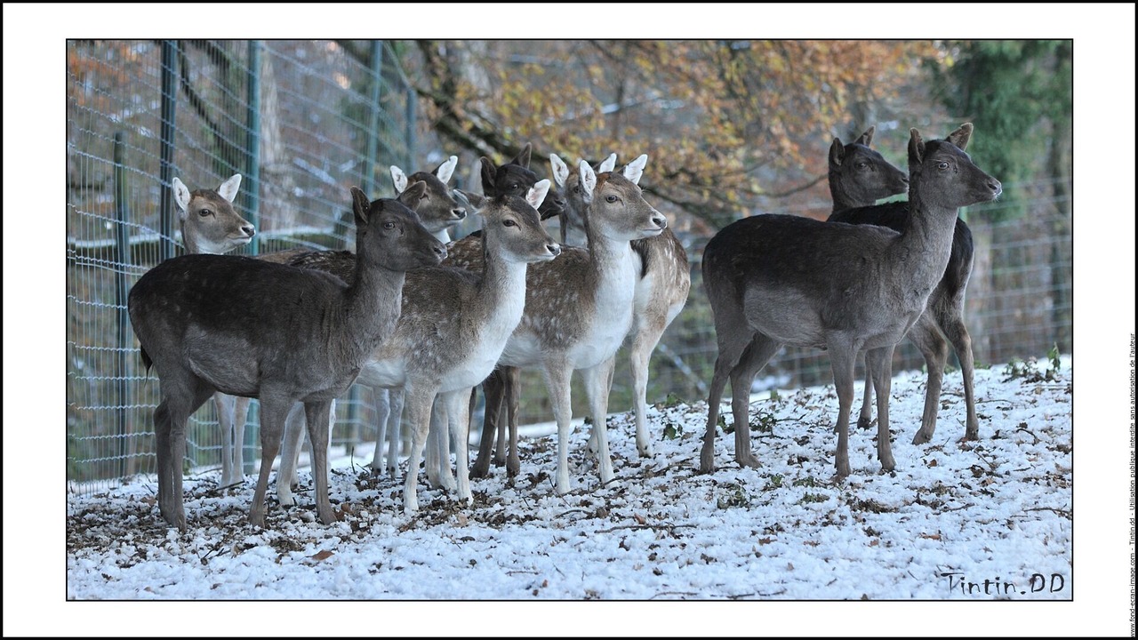 Photo of Outdoor in Annecy