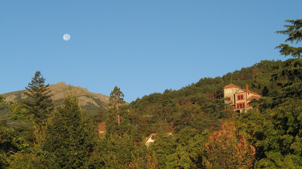 Photo of Others in Miraflores de la Sierra