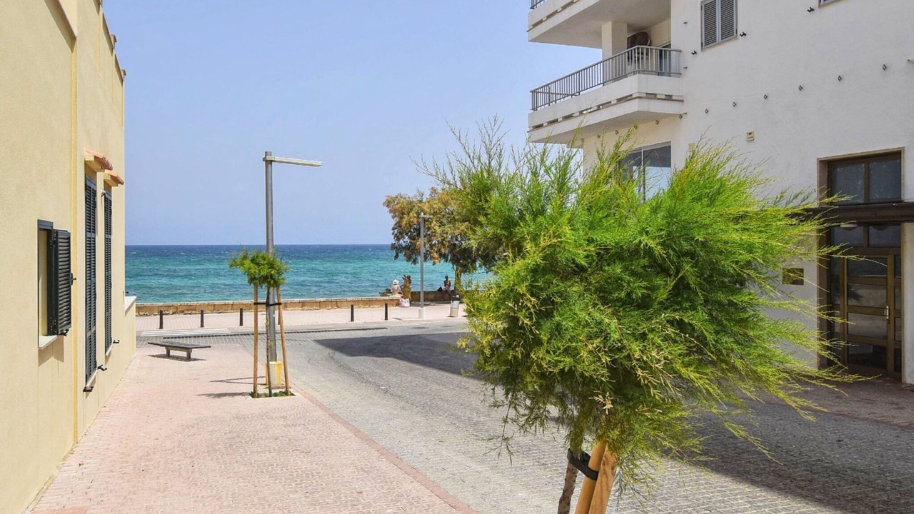 Photo of Outdoor in Son Baulo