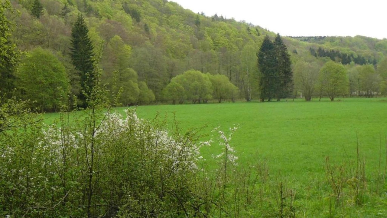 Photo of Others in Dankerode