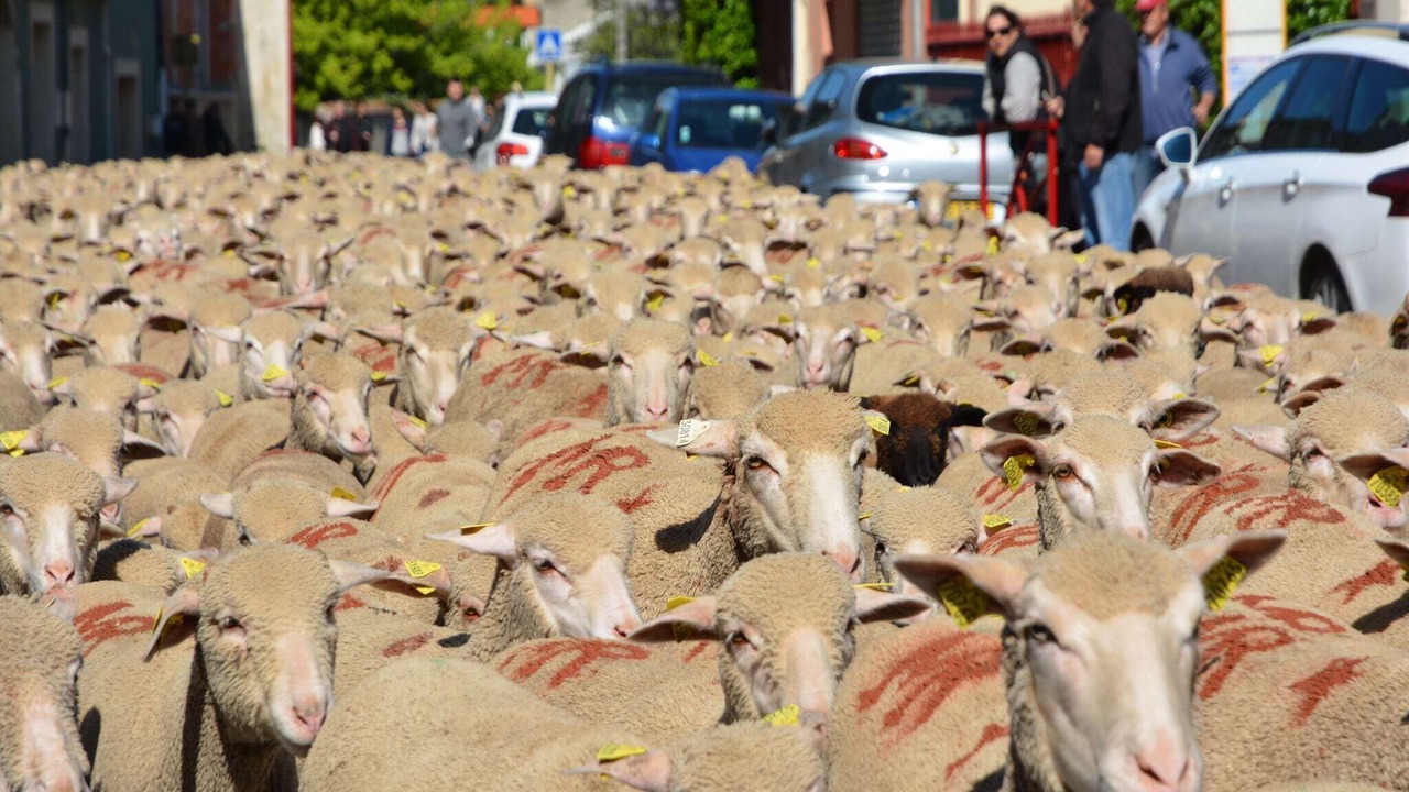 Photo of Others in Saint-Maximin