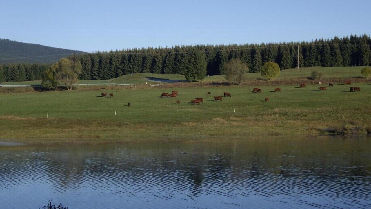 Photo of Others in Elend