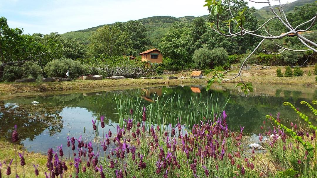 Photo of Outdoor in Candeleda