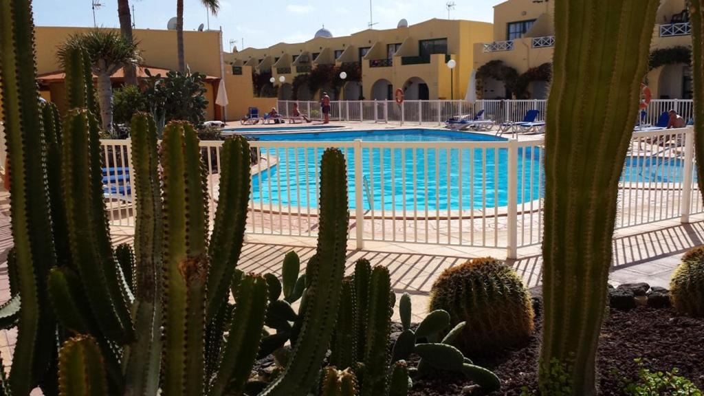 Photo of Outdoor in Caleta de Fuste