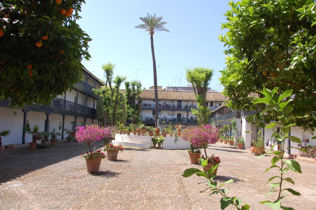Photo of Others in Santa Catalina