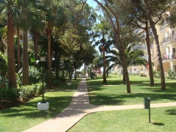 Photo of Others in Puerto Banus