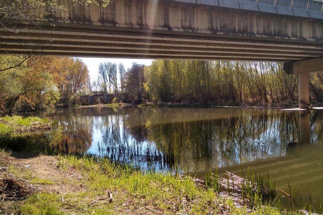 Photo of Others in Quintana del Puente