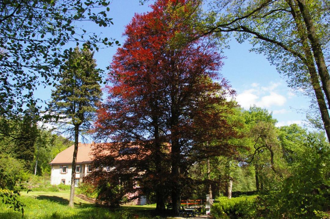 Photo of Others in Kaiserslautern