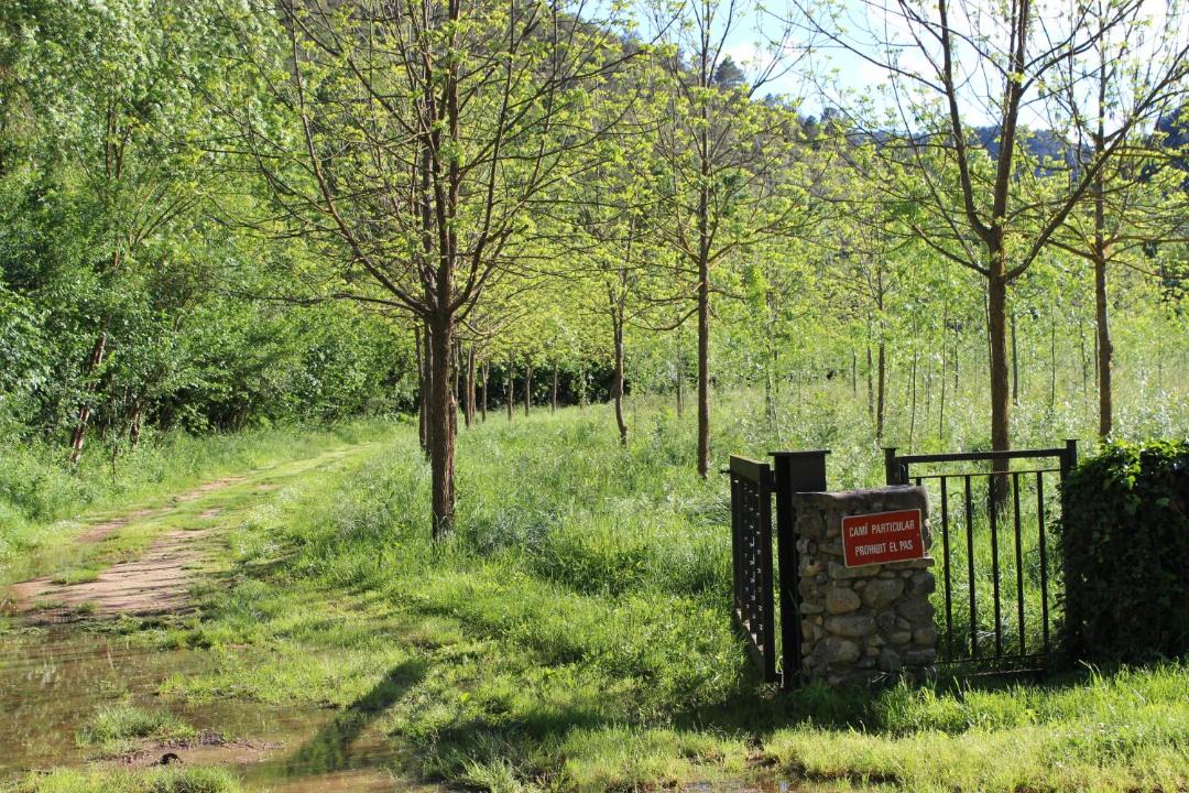 Photo of Others in Sant Llorenc de la Muga