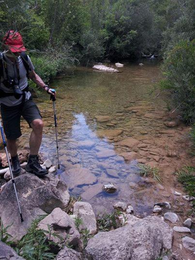 Photo of Others in Sant Llorenc de la Muga