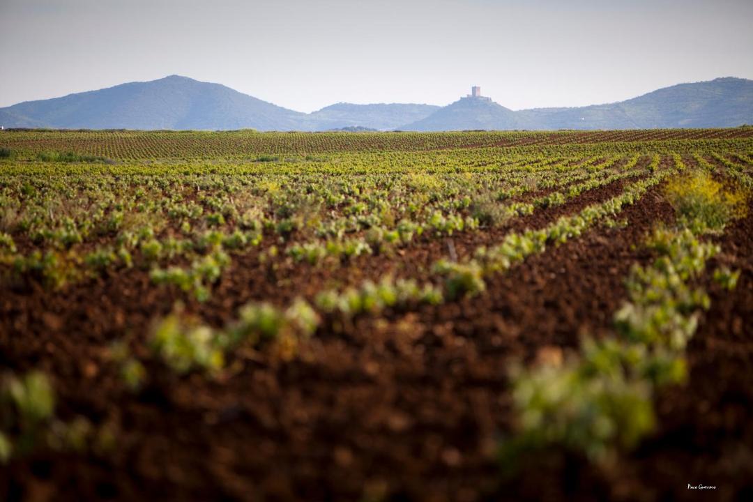Photo of Outdoor in Villafranca de los Barros