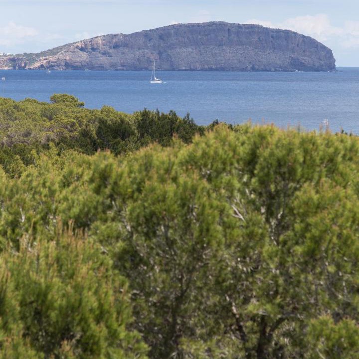 Photo of Outdoor in Es Canar