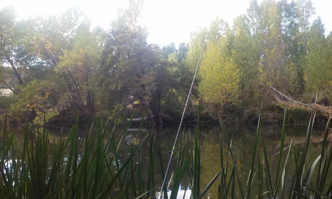 Photo of Others in Quintana del Puente