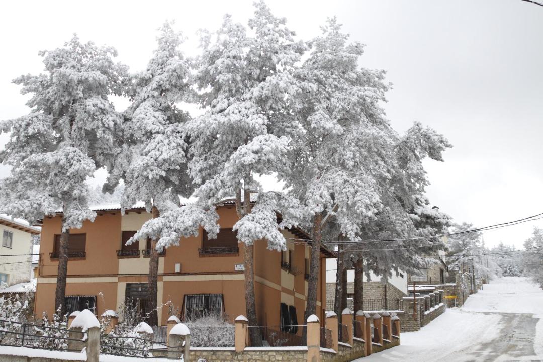 Photo of Others in Bronchales