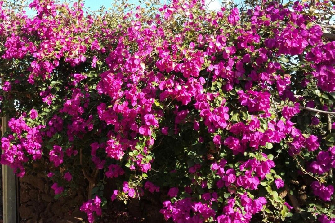 Photo of Outdoor in Villaverde