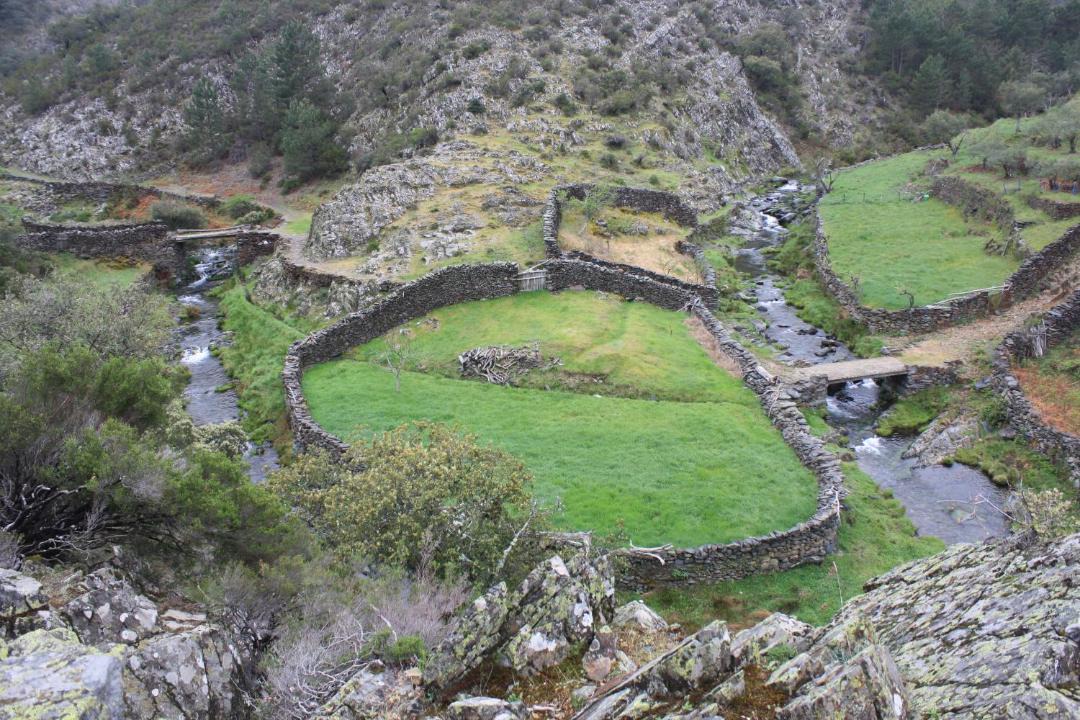 Photo of Others in Erias