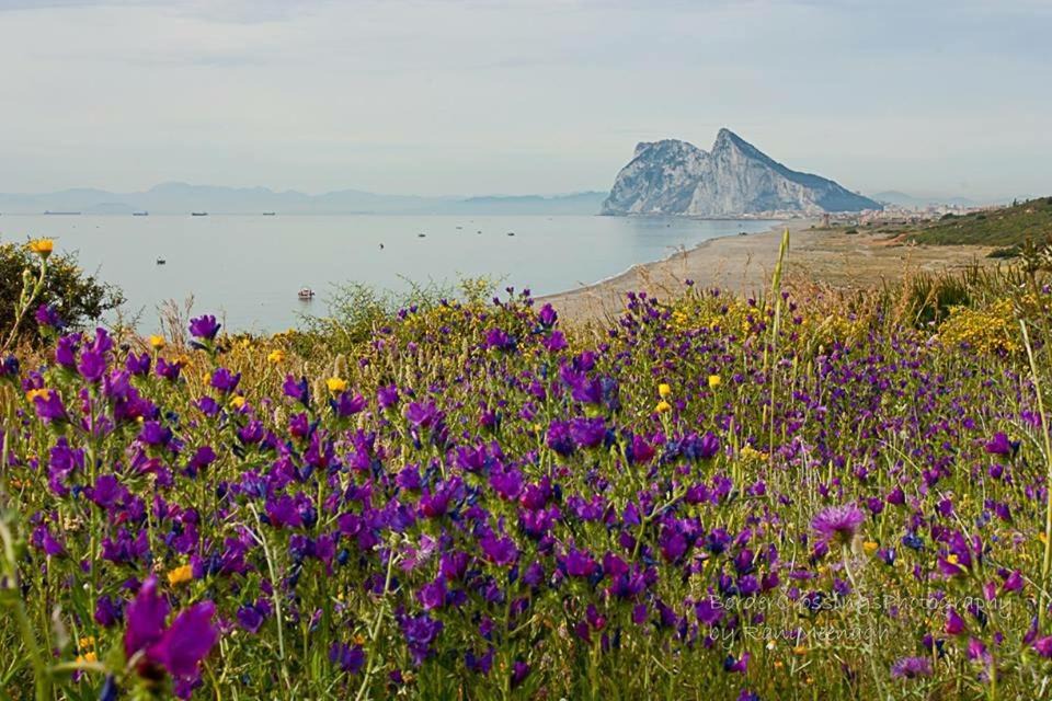 Photo of Outdoor in San Roque