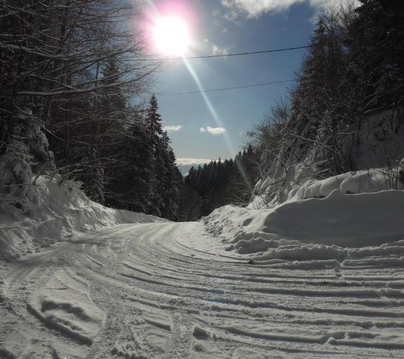 Photo of Others in Mijoux