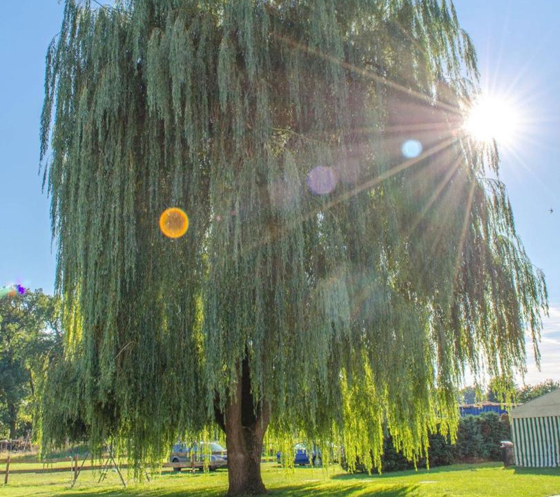 Photo of Outdoor in Weisen