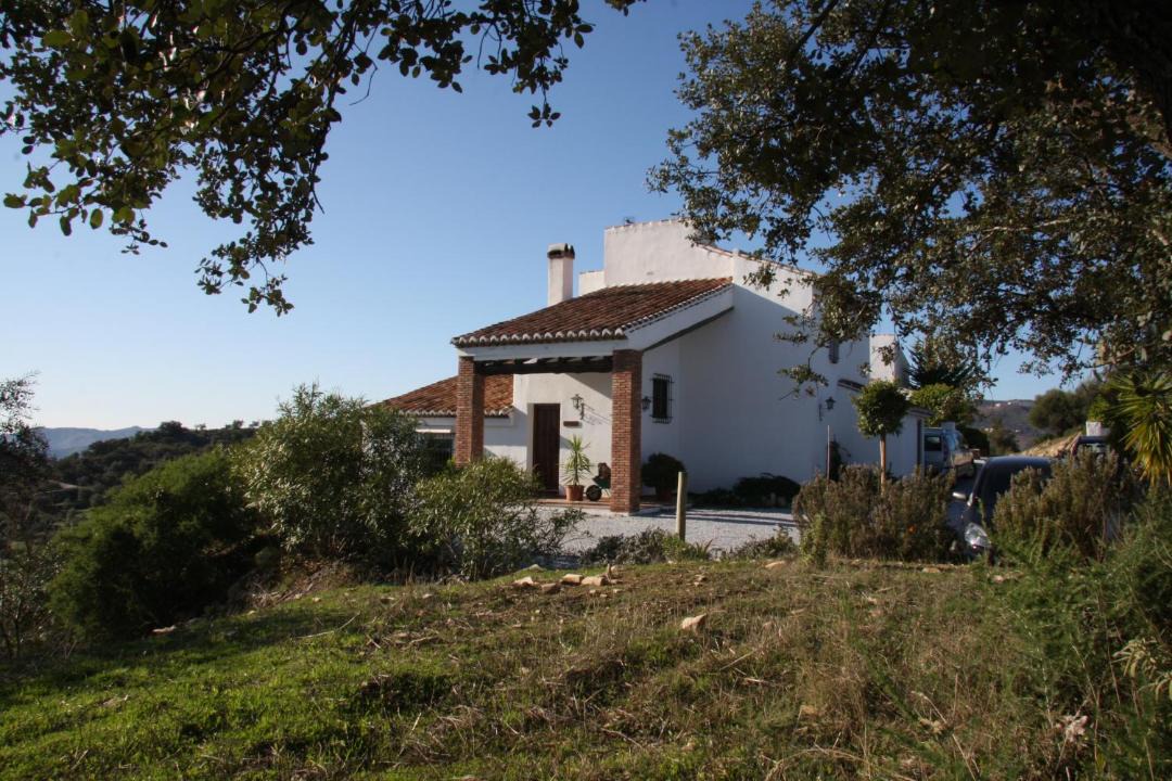 Photo of Others in Los Romanes