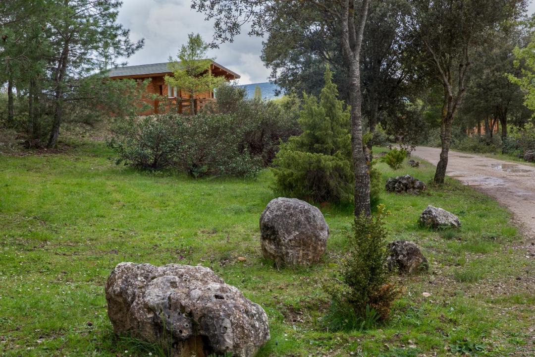 Photo of Others in Canamares