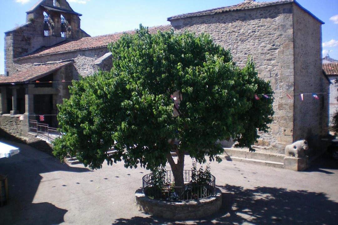 Photo of Others in San Vitero